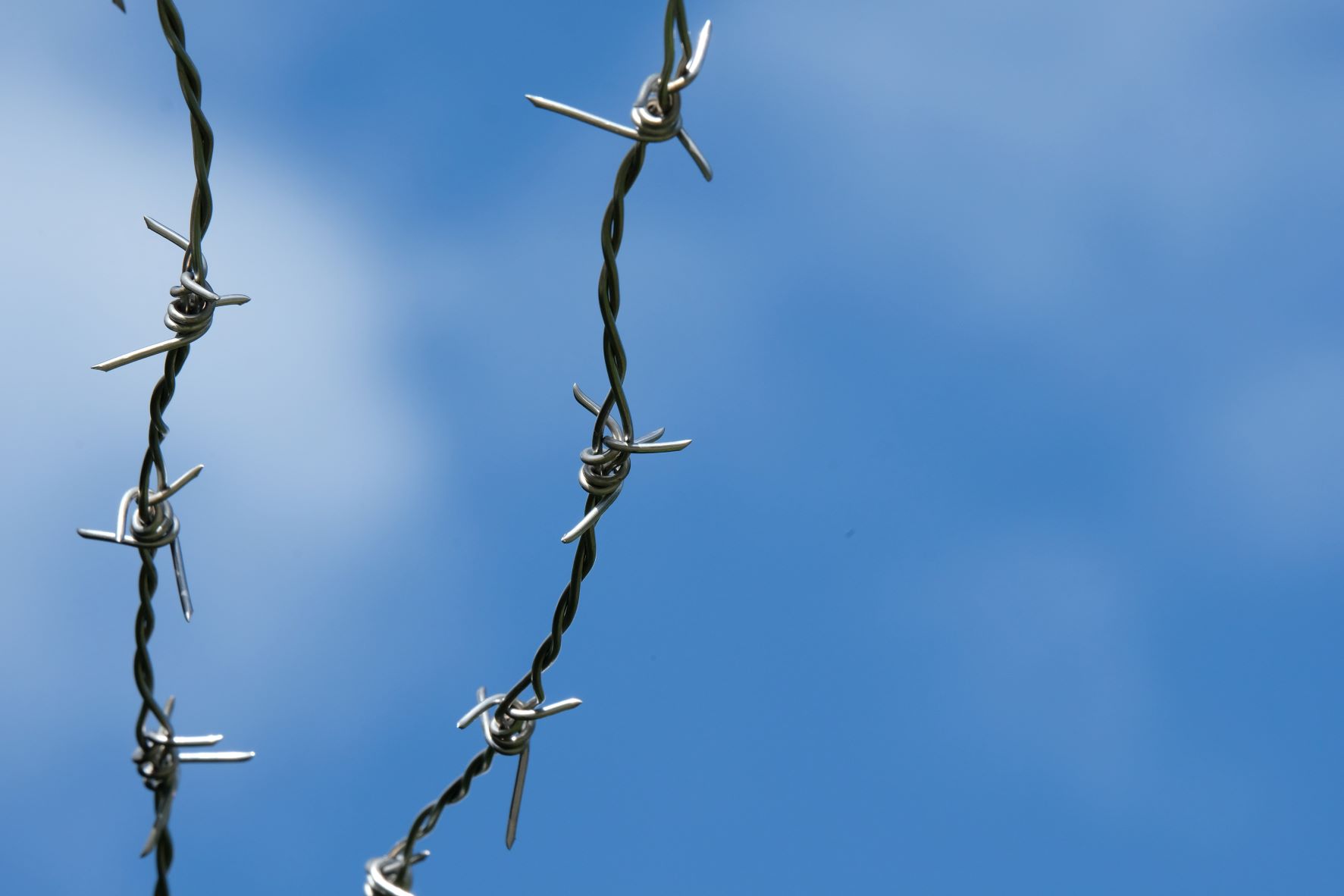 grey barbed wire close up against blue sky